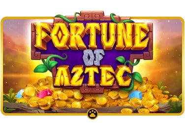 081 bet