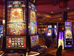 081 bet